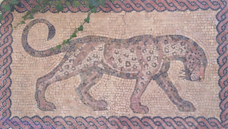 Roman Leopard