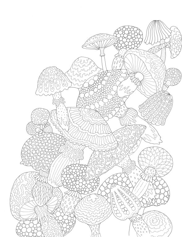 Garden Wonders Colouring Book