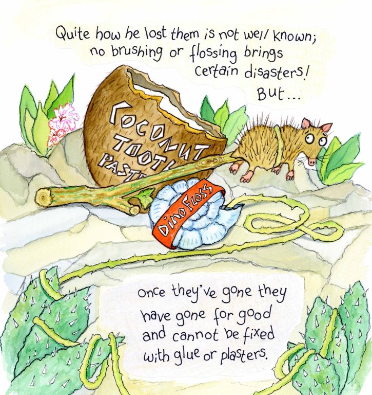 Toothless Tyro Story Book